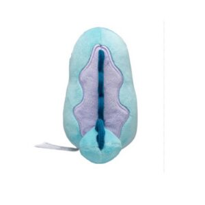 Peluche Quagsire Fit Pokemon Center Japon - Imagen 4