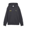 Pokemon Puma Sudadera Con Capucha Estampada Umbreon Adulto