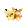Pokemon Peluche Pikachu y Eevee De Discovery Days 30 cm - Imagen 5