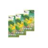 Booster Box Pikachu 15 Packs Ff 5 Cards Chinese Vers. - Imagen 2